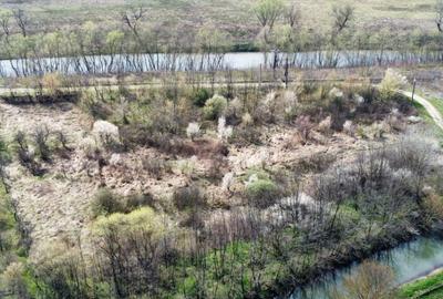 Teren intravilan Balint 22.500 mp - 10