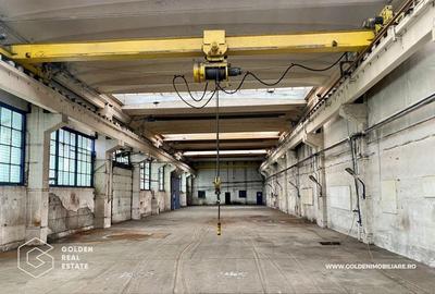 Spațiu industrial, de 600 mp, în Sânnicolau Mic - 1