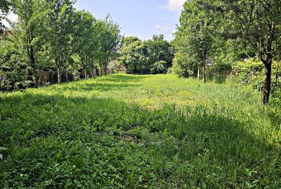 Casă individuală cu 5 camere cu Canalizare în Cristian - 3