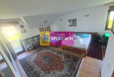 Vila de vanzare in Comarnic - 18