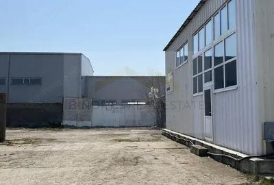 Hala Vidra de inchiriat - 2