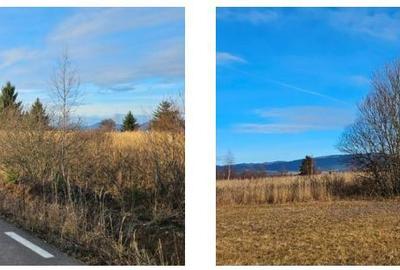 Teren de 42048 mp, în Sărmaș - 1