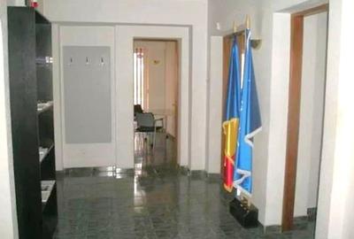 Apartament 4 camere Primaverii - 4