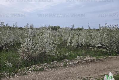 Teren Construcții intravilan de 420 mp, în Joița - 3