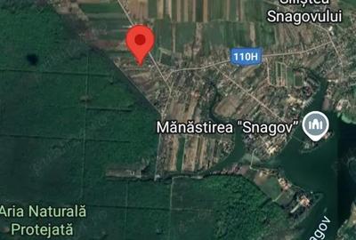 Teren Silistea Snagovului langa padure - 2