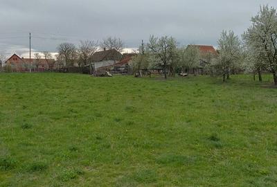 Teren de 4138 mp, în Babșa - 1