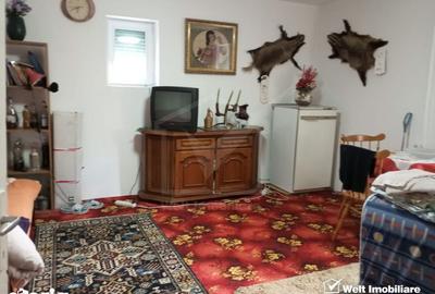 Casă cu 3 camere cu Teren 3320 Mp în Căpușu Mare - 4