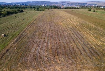 Teren intravilan, 2.800 m2, Cluj-Napoca - 10