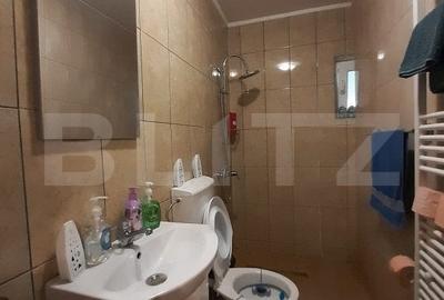 Cabana de lemn, 7 camere - afacere la cheie - Brasov - 10
