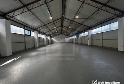 Depozit 484mp, zona industriala Someseni Aeroport - 7