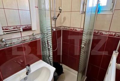 Apartament de inchiriat, cu 2 camere, 40 mp - zona Vasile Aa - 1