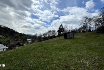 Teren de 6996 mp, în Valea Mare - 5