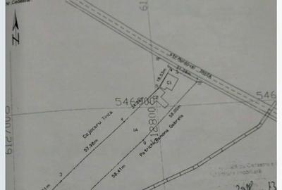 Spațiu comercial, în Coman - 4