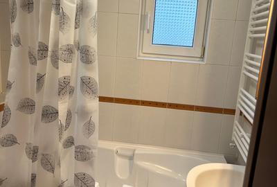 Beller/strada Marasoiu langa Parcul Herastrau Beller/strada Marasoiu langa Parcul Herastrau - 6