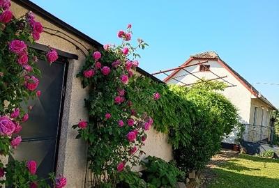 Casă individuală cu 4 camere cu Teren 1000 Mp în Giarmata-Vii - 2