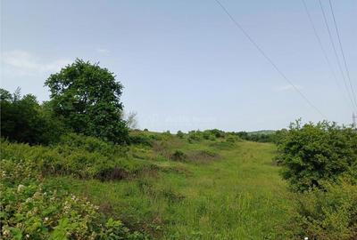 Teren de 11510 mp, în Central - 2