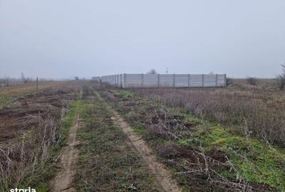 Spațiu comercial, în Șimnicu de Sus - 2