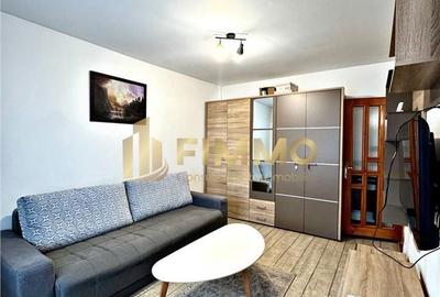 Garsonieră în Paltin - 8