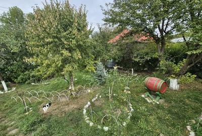 Vila 4 camere + teren 818 mp central Provita de Sus (lângă școală) - 51