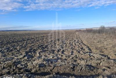 Spațiu comercial, în Cristian - 5