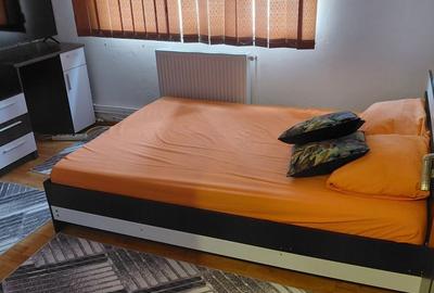 Apartament cu 2 camere semidecomandat în Gura Văii - 7