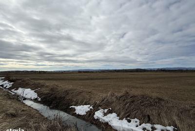 Teren de 3900 mp, în Central - 3