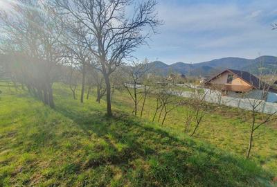 Teren de 1800 mp, în Viișoara - 8