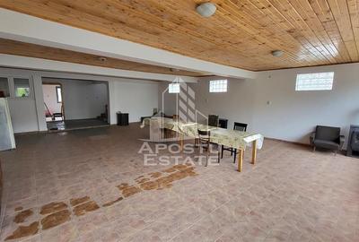 Casa ideala pentru birouri/alte activitati Mehala - 26