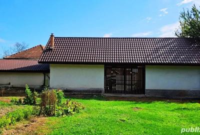 Casa de vanzare Pe?teana, jud. Hunedoara - 3