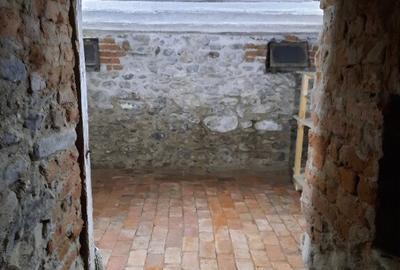 Casa de inchiriat in Talmaciu - 1