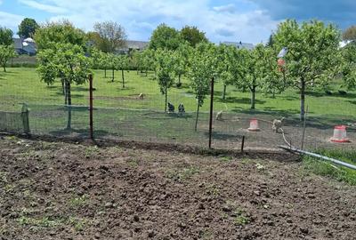 Vind casa Serbanesti - 5