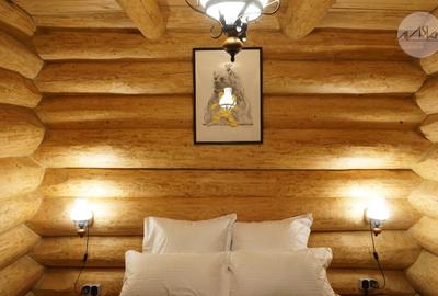 Cabana spectaculoasa de inchiriat - 3