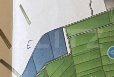 Teren de 250000 mp, în Central