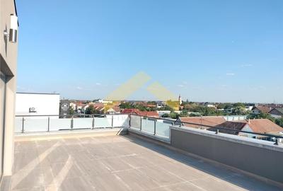 Penthouse 2 camere de inchiriat zona Micalaca - 12
