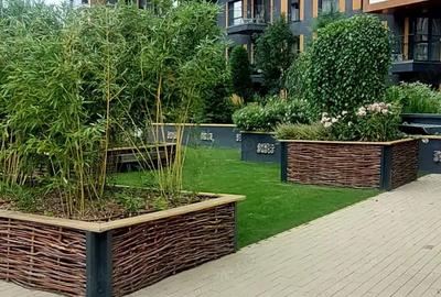 Herastrau ofer spre inchiriere - 4