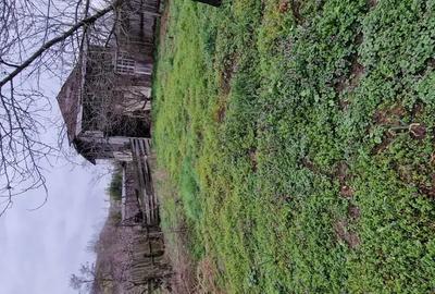 Casă cu 4 camere în Lăicăi - 6