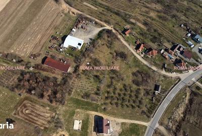 Teren de 6650 mp, în Remetea Chioarului - 8