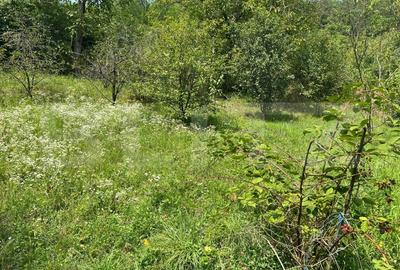 Casa Str. Negoiului, 2.249 mp teren, zona linistita, vedere panoramica - 2