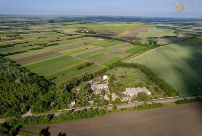 Cladire industriala de vanzare cu potential 3,5 ha in Batania - 9