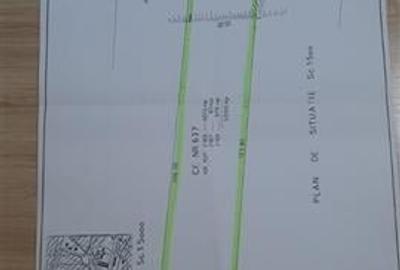 Domeniu verde autentic,  +5.000mp, front la DJ, Valcele, Brasov -- Covasna - 14