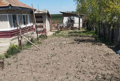 Casă cu 4 camere în Bărzila - 5