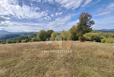 Teren Intorsura Buzaului Dealul Frumos - 4