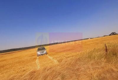 Teren de 2000 mp, în Brănești