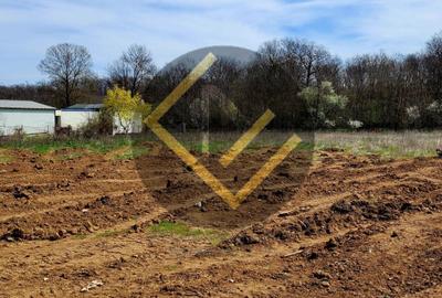 Teren Construcții intravilan de 4900 mp, în Cernica - 5