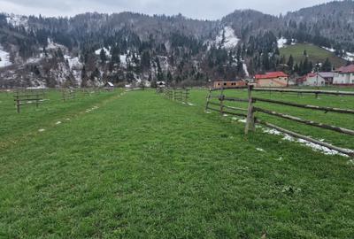 De vanzare teren intravilan 2466 mp Bucovina - Frumosu - 4