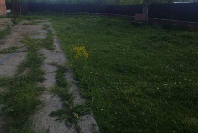 Casă cu 4 camere în Fiscut - 2