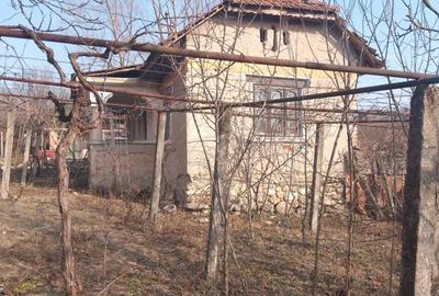 Vand teren la Rasova-Balesti - 1