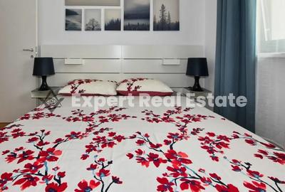 Apartament cu 2 camere semidecomandat în Tunari - 6