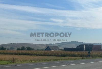 Teren de 7000 mp, în Cristian