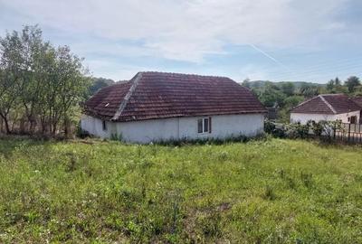 Casă cu 5 camere în Sântandrei